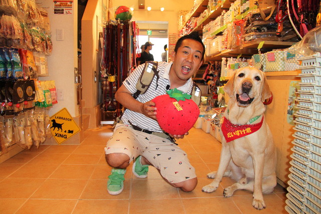 ファイル 1881-1.jpg