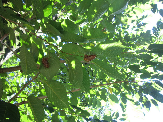 ファイル 1882-2.jpg