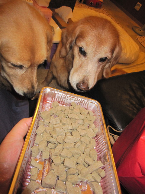 ファイル 1884-4.jpg