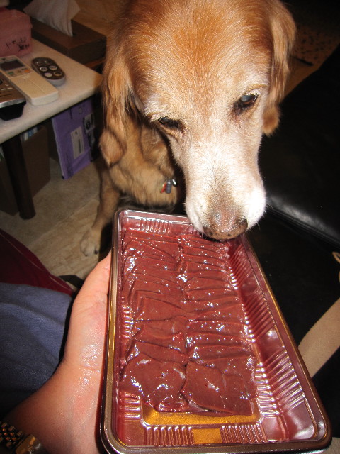 ファイル 1884-5.jpg