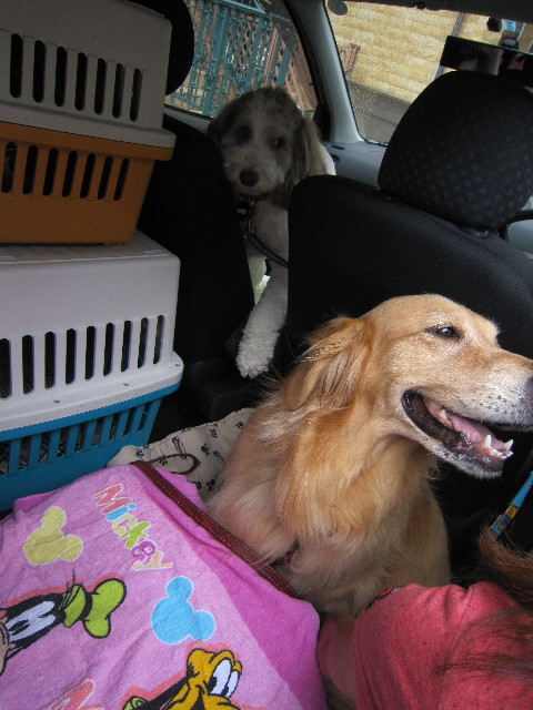 ファイル 1885-4.jpg