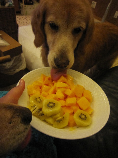 ファイル 1887-5.jpg