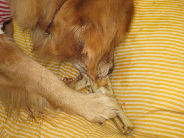 ファイル 189-3.jpg