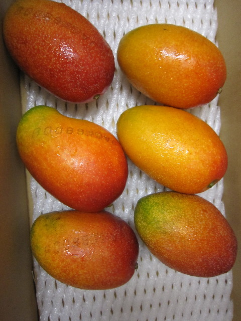 ファイル 1890-5.jpg