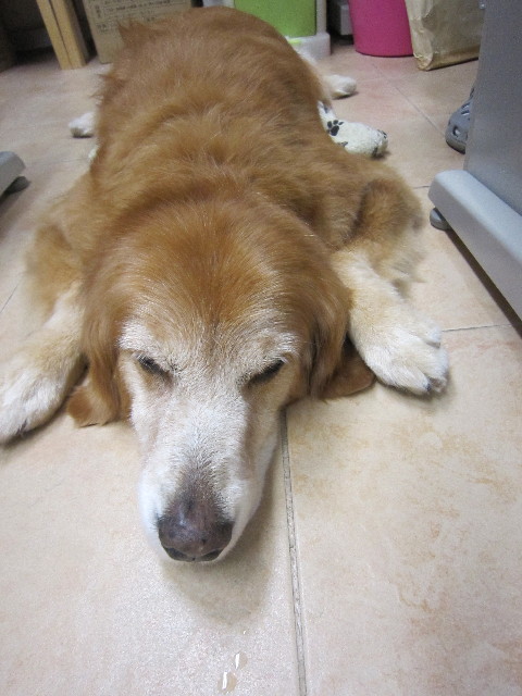 ファイル 1891-4.jpg