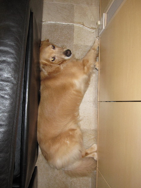 ファイル 1891-5.jpg