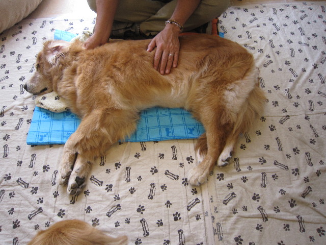 ファイル 1895-2.jpg