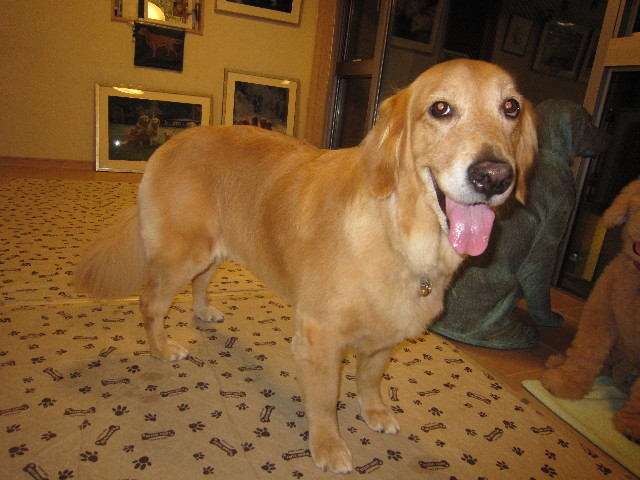 ファイル 1899-2.jpg