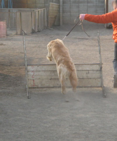 ファイル 190-2.jpg