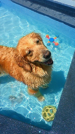 ファイル 1900-2.jpg