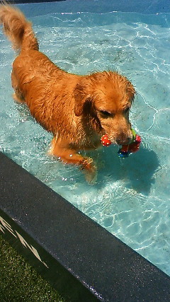 ファイル 1900-3.jpg