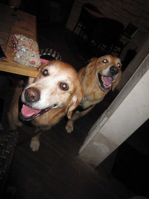 ファイル 1901-1.jpg