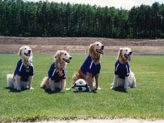 ファイル 1908-4.jpg