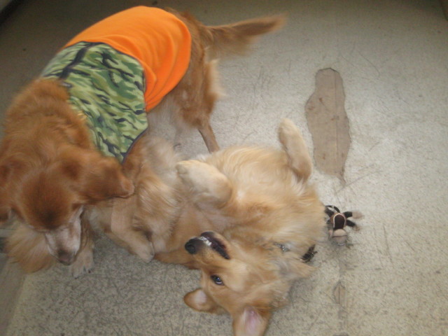 ファイル 191-2.jpg