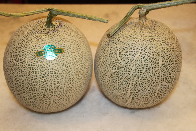 ファイル 1911-4.jpg