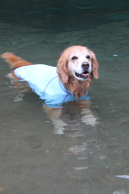 ファイル 1915-2.jpg