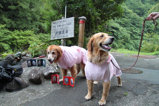 ファイル 1917-2.jpg