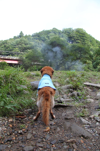 ファイル 1919-2.jpg