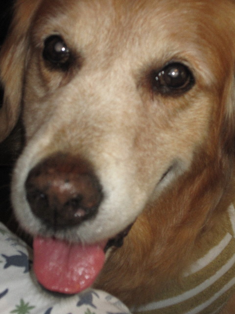 ファイル 1920-1.jpg