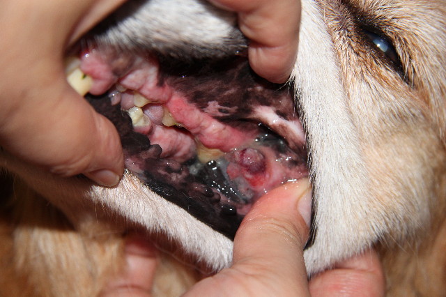 ファイル 1920-2.jpg