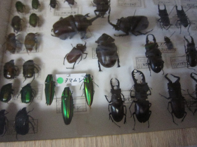 ファイル 1921-4.jpg