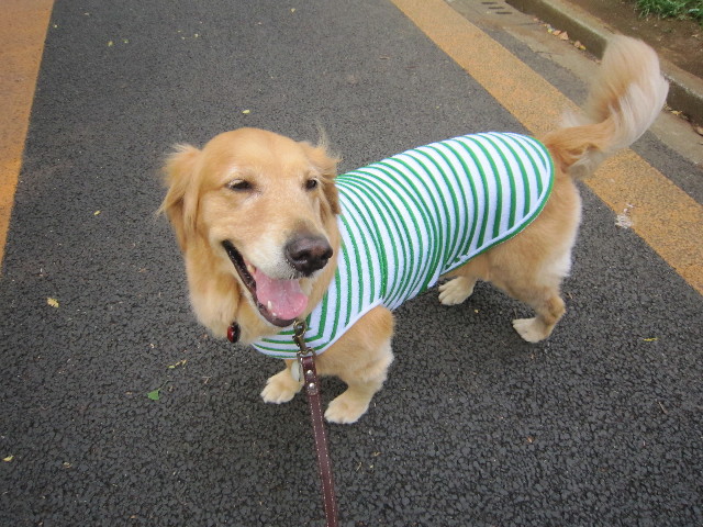 ファイル 1922-2.jpg