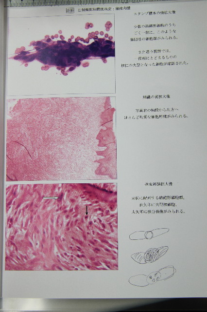 ファイル 1923-2.jpg