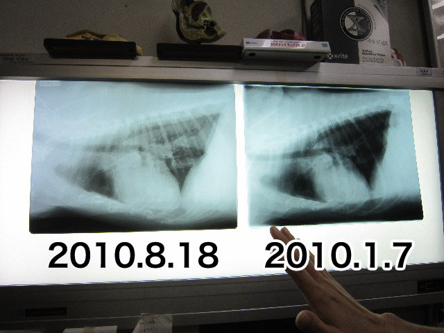 ファイル 1923-3.jpg