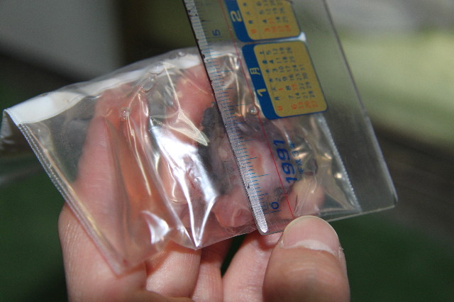 ファイル 1925-3.jpg