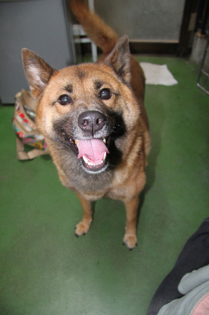 ファイル 1926-2.jpg