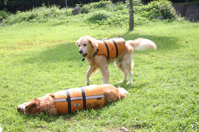 ファイル 193-3.jpg