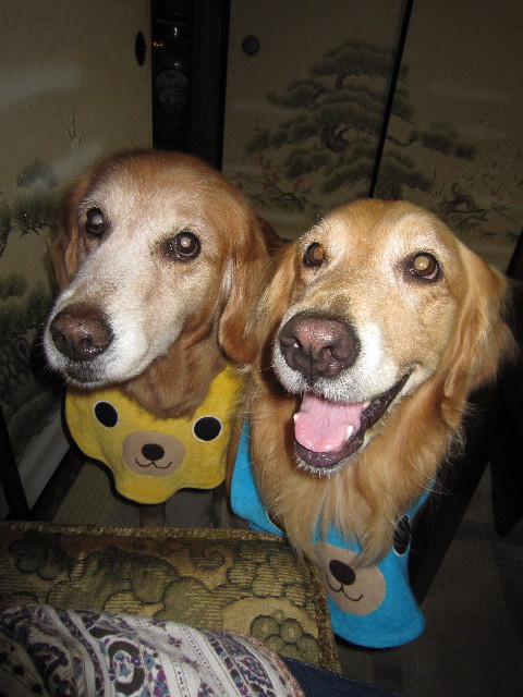 ファイル 1931-1.jpg