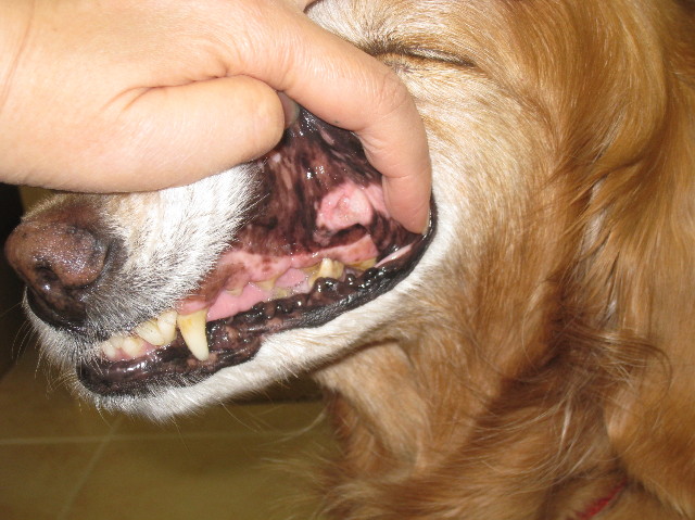 ファイル 1931-5.jpg