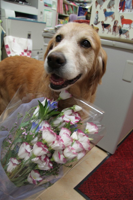 ファイル 1932-1.jpg