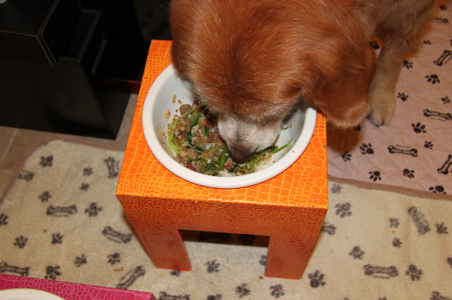 ファイル 1932-4.jpg