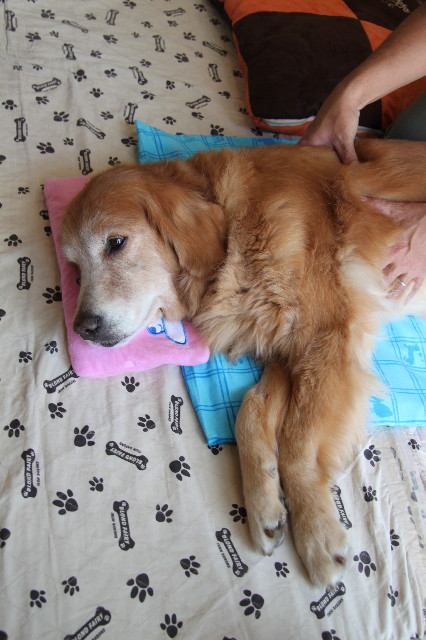 ファイル 1934-1.jpg