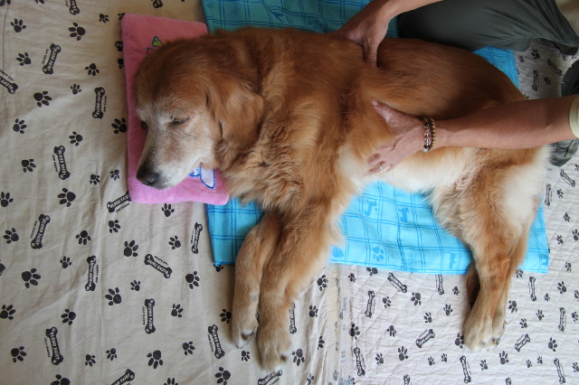 ファイル 1934-2.jpg