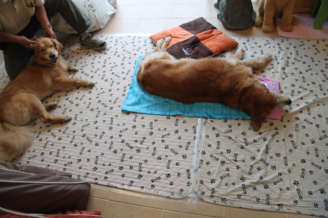 ファイル 1934-3.jpg