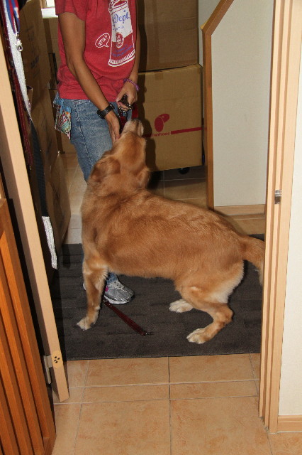 ファイル 1940-2.jpg