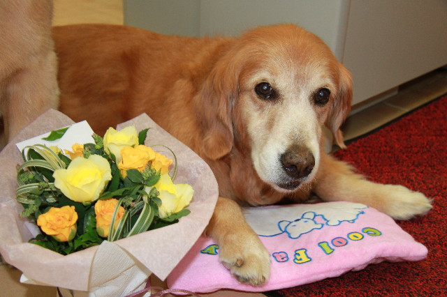 ファイル 1943-3.jpg