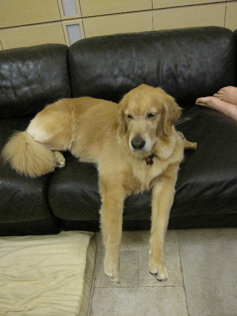 ファイル 1946-4.jpg