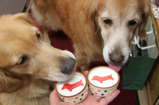 ファイル 1947-5.jpg