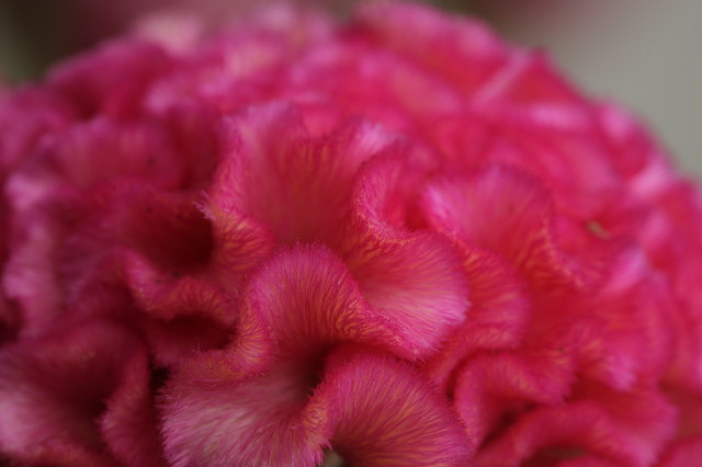 ファイル 1948-3.jpg