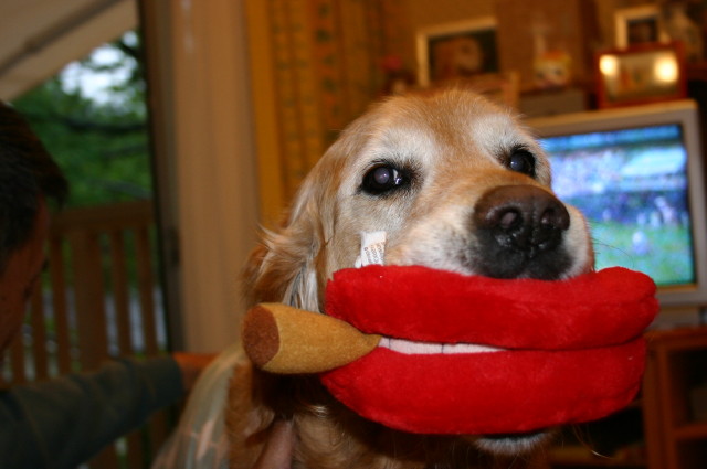 ファイル 195-1.jpg