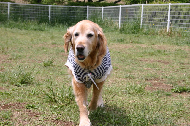 ファイル 195-3.jpg