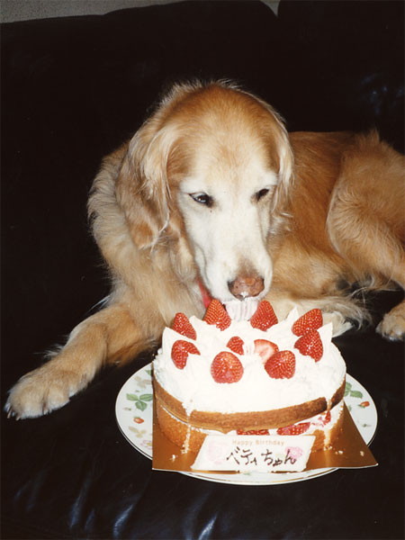 ファイル 196-4.jpg