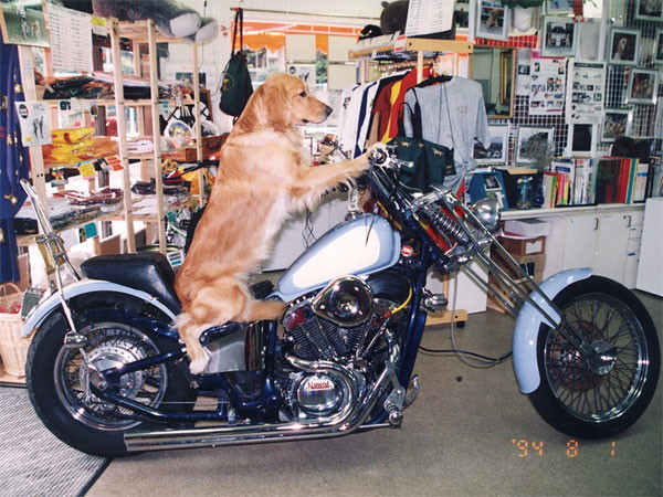 ファイル 196-5.jpg