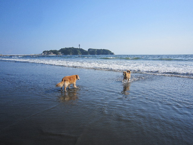 ファイル 1968-2.jpg