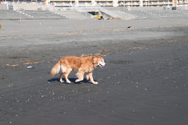 ファイル 1968-3.jpg