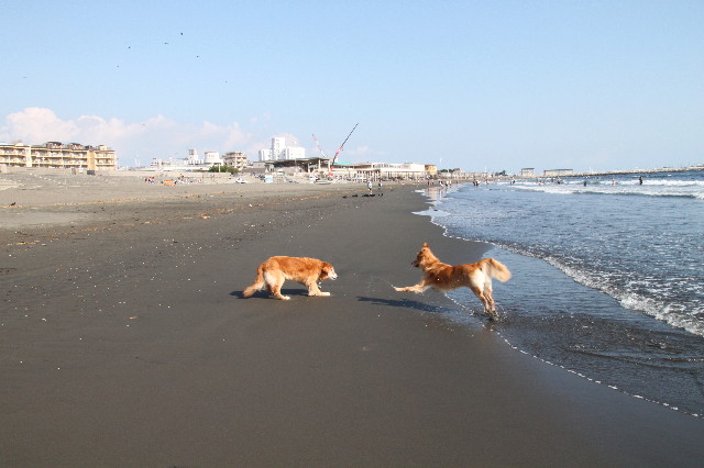 ファイル 1968-4.jpg